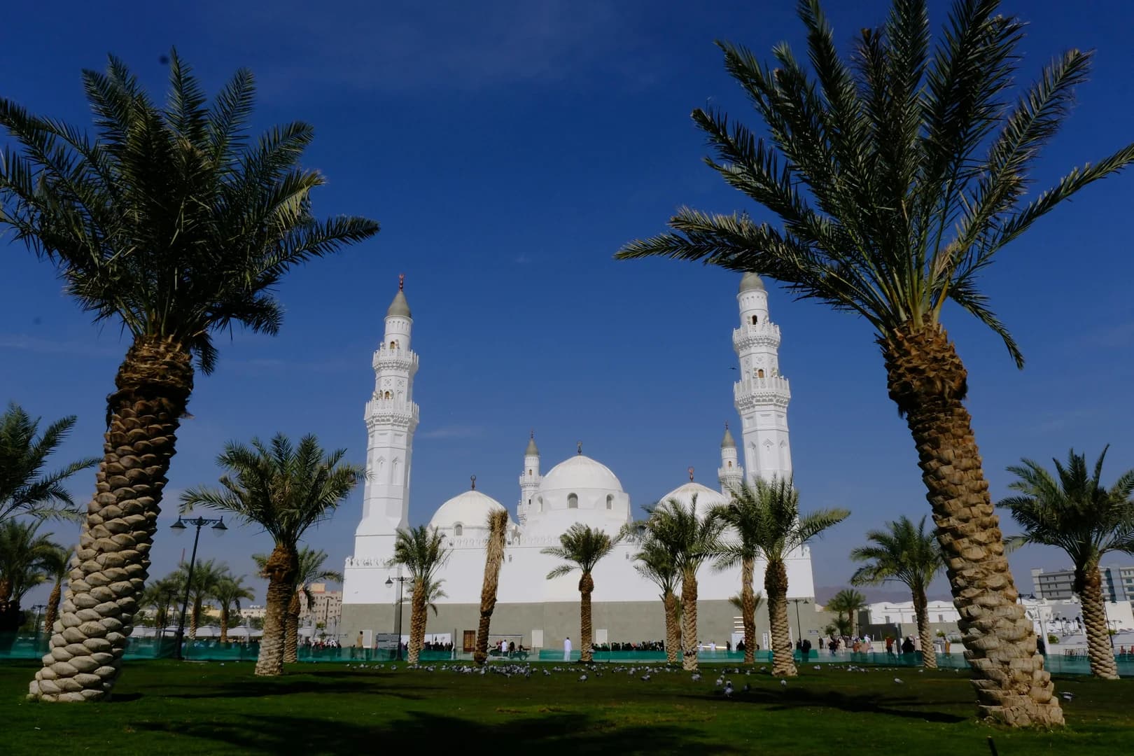 What is the Gulf Cooperation Council (GCC)? - The Opportunity for Visa-Free Travel in the Arabian Peninsula