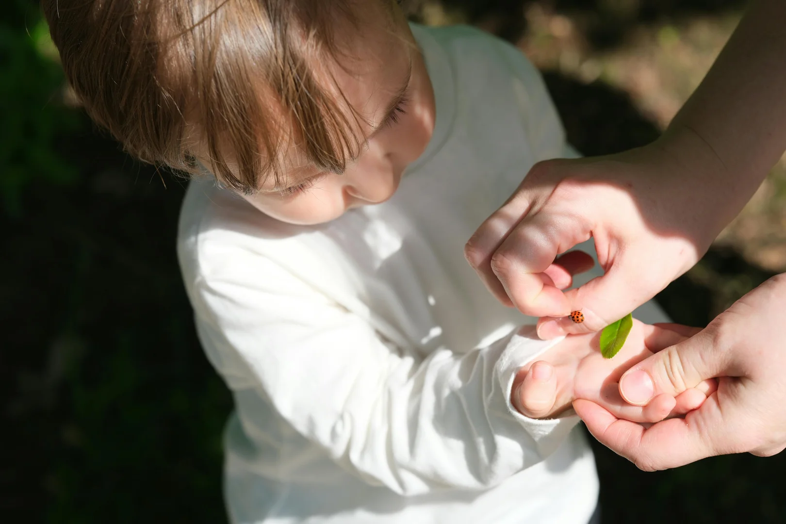 Amerika’da Doğum - Amerika’da Doğum hakkında öğrenmek istediğiniz detaylara yazımızdan erişebilir. Daha fazlası ve vize danışmanlık süreçleri için uzmanlarımıza ulaşabilirsiniz.