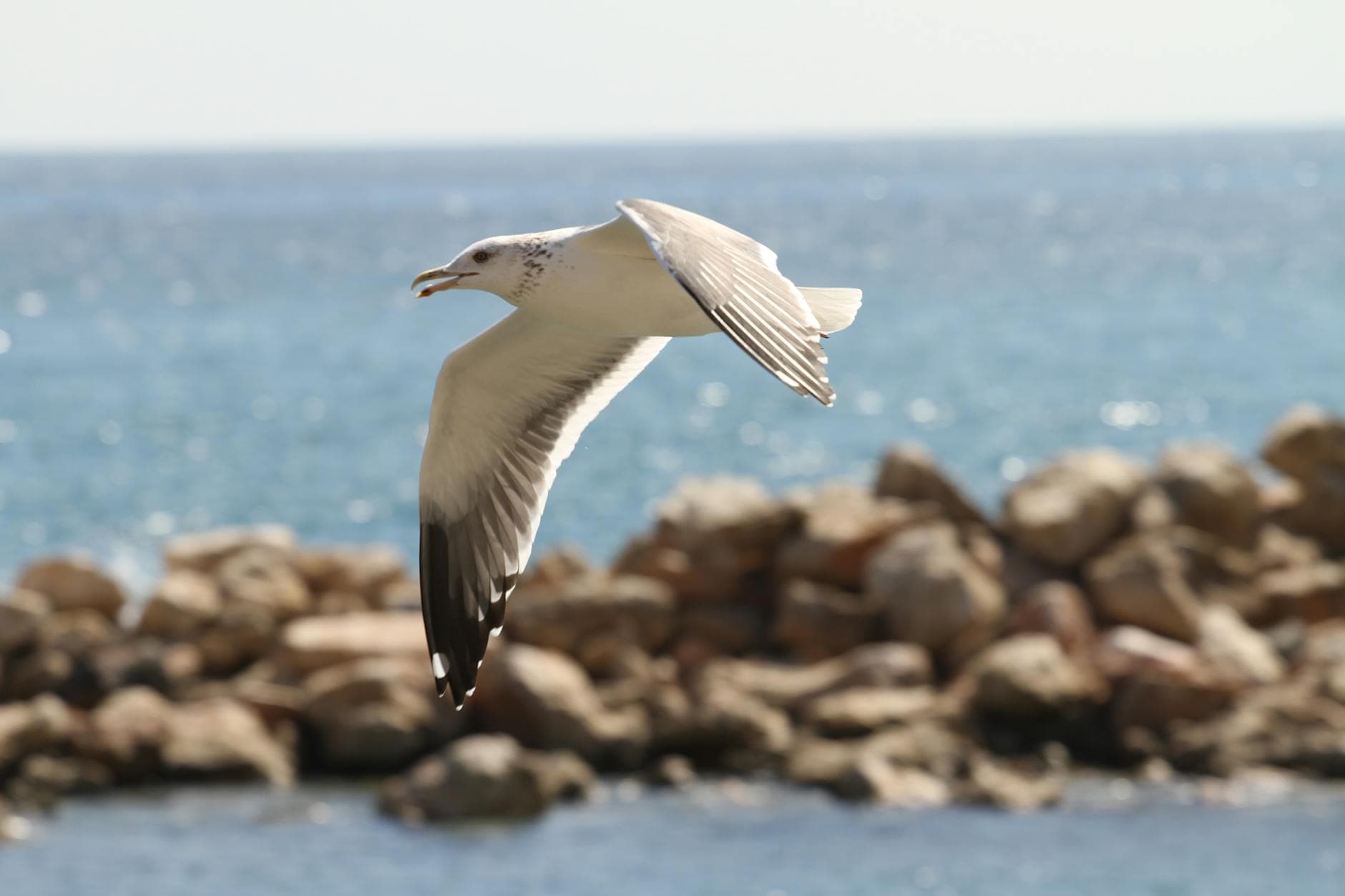 Yemen Seyahati İçin En İyi Zaman: İklim ve Hava Durumu - Yemen'i ziyaret etmek için en uygun zaman dilimini ve hava koşullarını keşfedin.