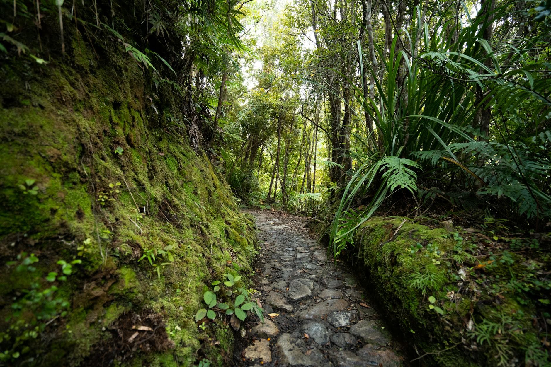 Yeni Kaledonya'da Mutlaka Görülmesi Gereken Yerler - Yeni Kaledonya'da keşfedilecek en popüler turistik yerlerin listesi. | Kolay Seyahat