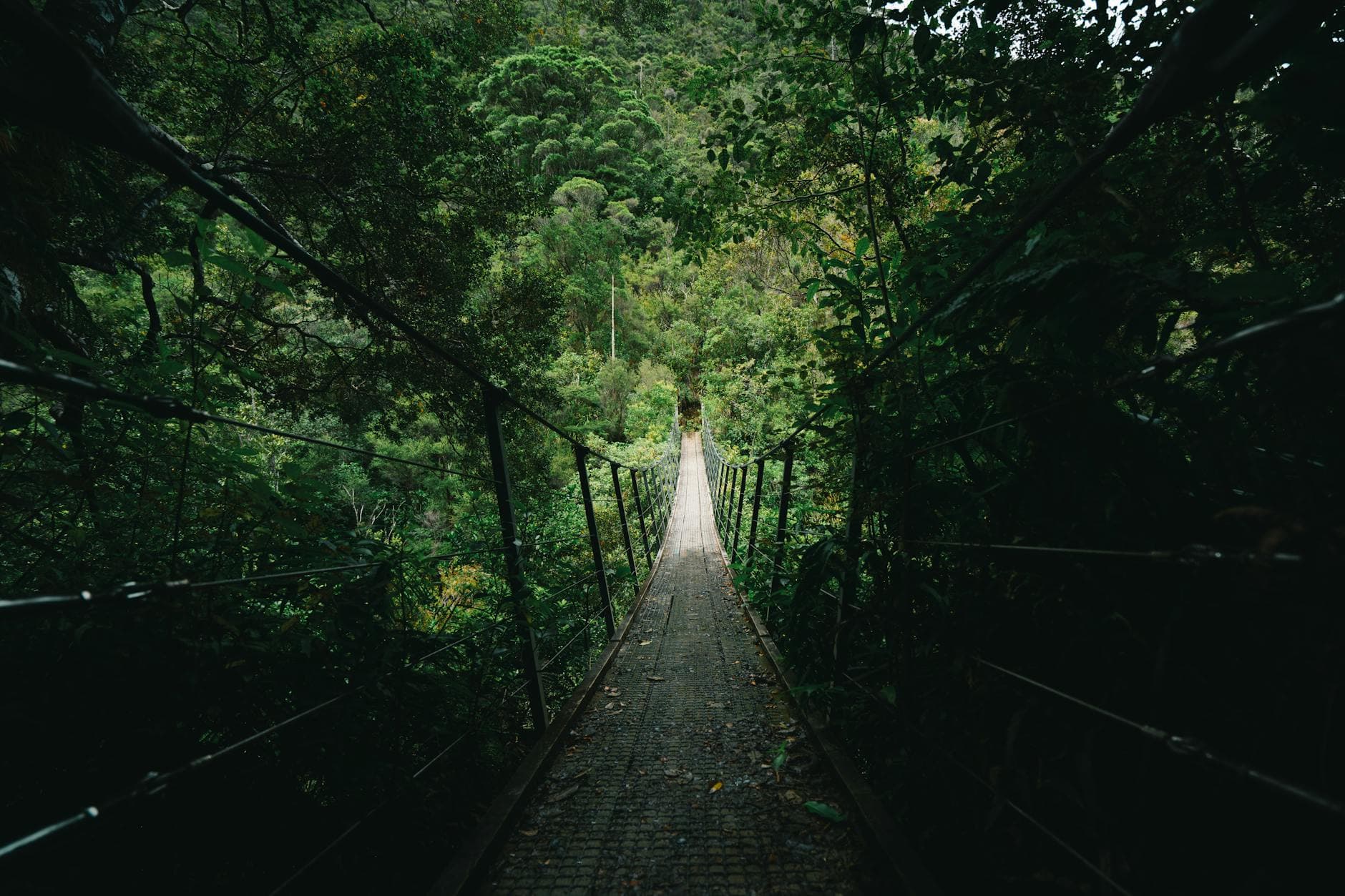 Yeni Zelanda'da Ulaşım: Toplu Taşıma ve Araç Kiralama Rehberi