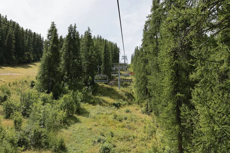 Saint Vincent ve Grenadinler