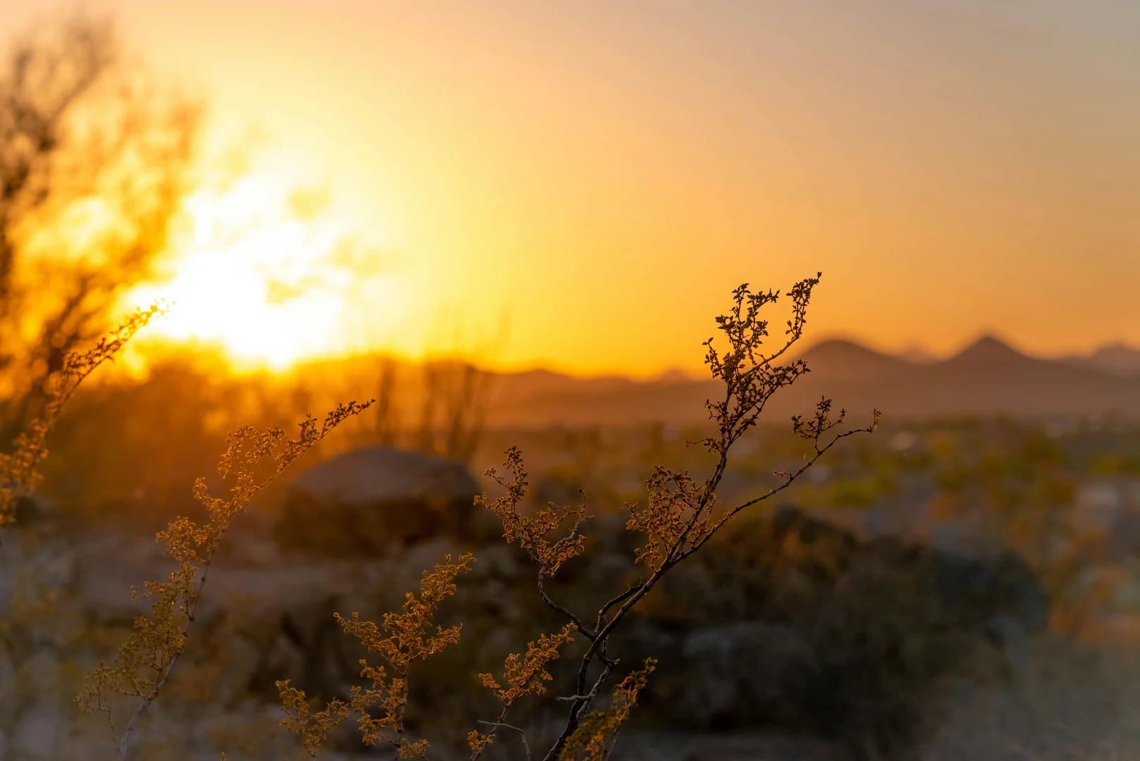 Must-Do Desert Safari in Kuwait! - How about spending a wonderful day in the desert of Kuwait? We've prepared an amazing travel guide for you about Kuwait.
