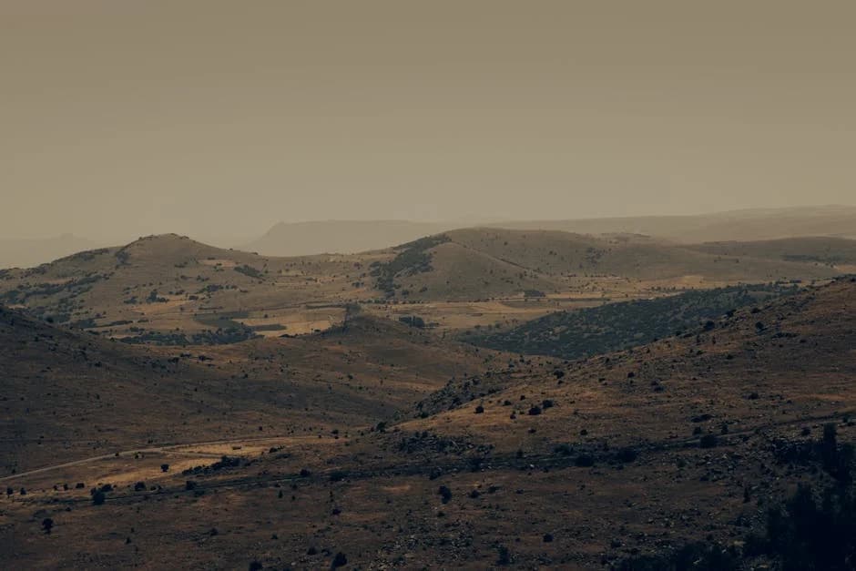 Tanzania