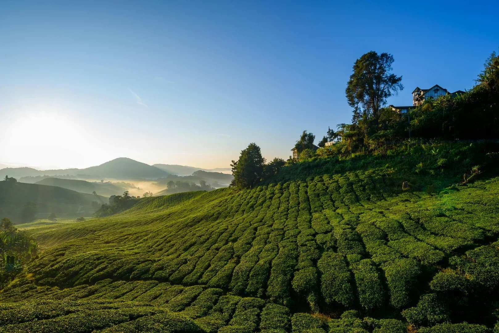 Malasia