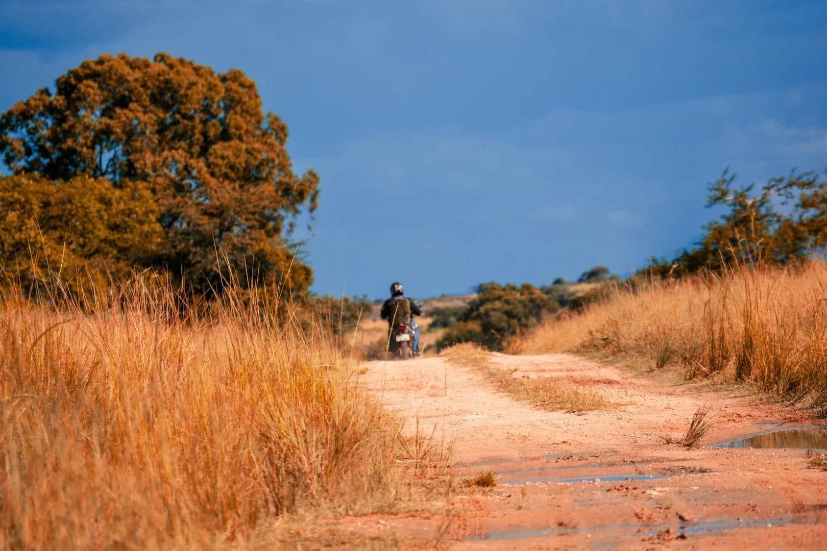 Zimbabue